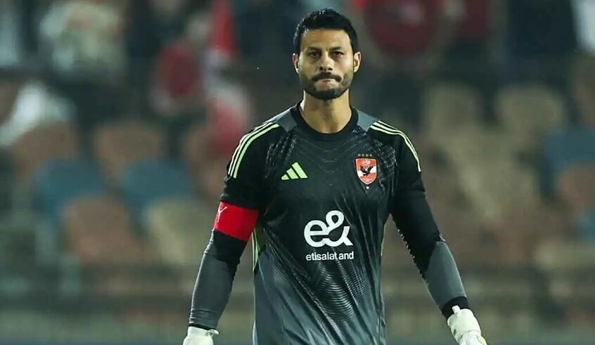 wp header logo1769515209494100595