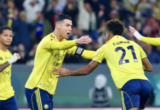 wp header logo176951880969660575