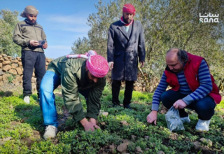 wp header logo17695224071995470282