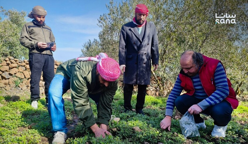 wp header logo17695224071995470282