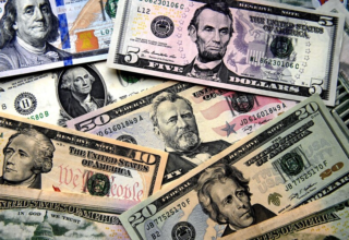 wp header logo1769536809651516124