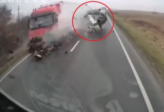 wp header logo1769540408145079385