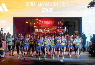 wp header logo17695620152038374092