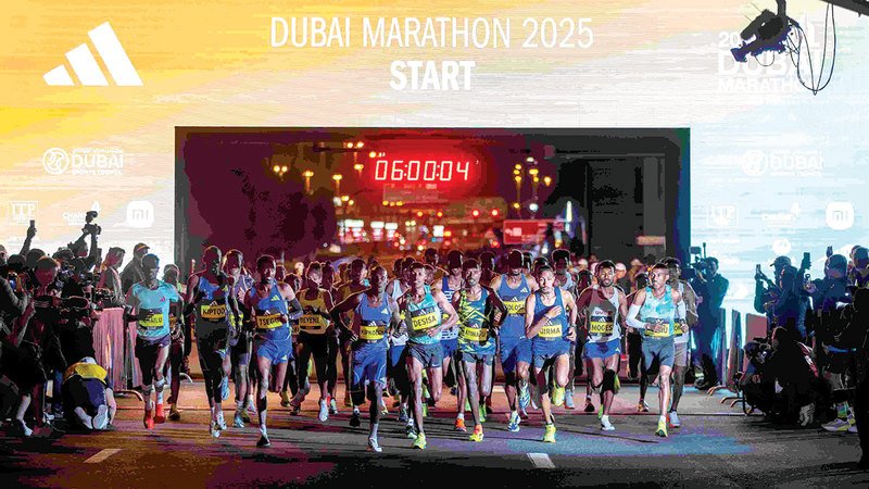 wp header logo17695620152038374092