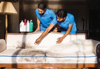 wp header logo1769562019250625350