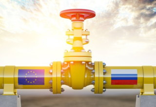 wp header logo1769580008924639739