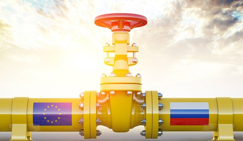 wp header logo1769580008924639739