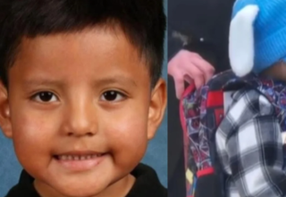 wp header logo17695800541121452135