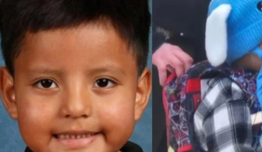 wp header logo17695800541121452135