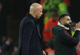 wp header logo17695872171714722014