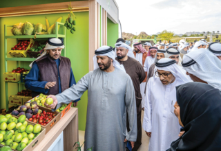 wp header logo17695944101750072139