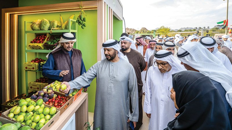 wp header logo17695944101750072139