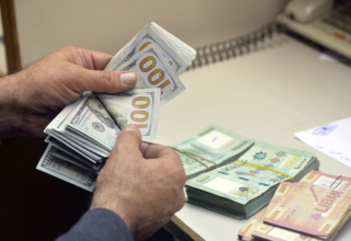 wp header logo17695980241608544245