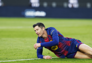 wp header logo17696016121668302741