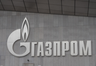 wp header logo17696016381402182839