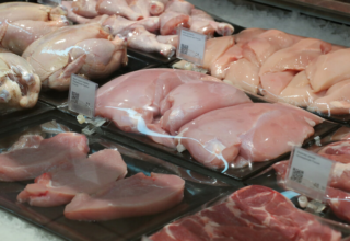 wp header logo17696088161250011867