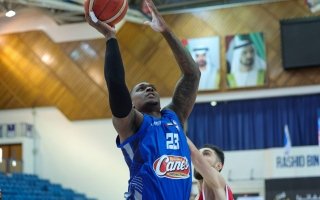 wp header logo17696124091905665001