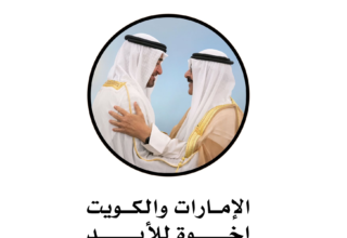 wp header logo17696124271717698785