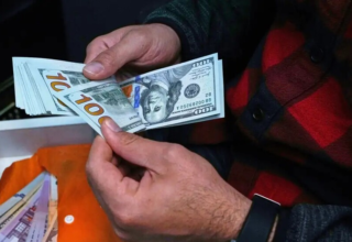 wp header logo17696232121056620479