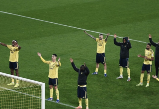 wp header logo17696304101611746152