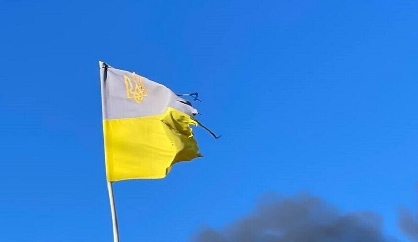 wp header logo1769634037198186168