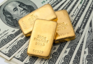 wp header logo1769641210741538272