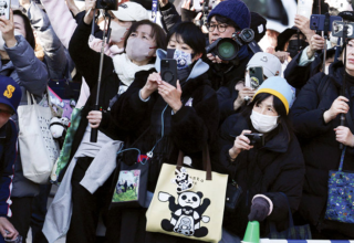 wp header logo1769648428933314765