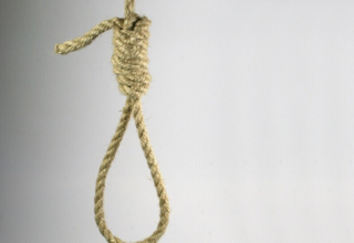 wp header logo17696628101742053130