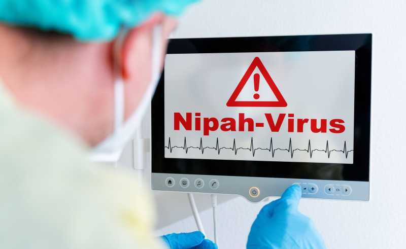 wp header logo17696808071615618289