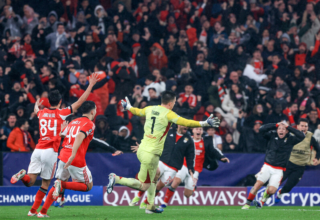 wp header logo17696808101185022376