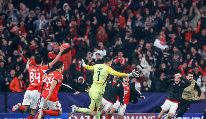 wp header logo17696808101185022376