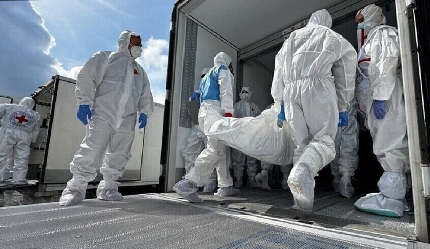 wp header logo176968444624009682