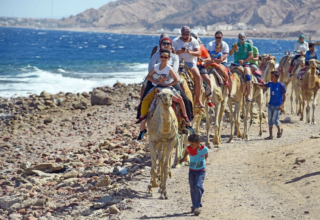 wp header logo17696880121708507227