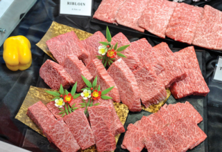 wp header logo1769691610126736994