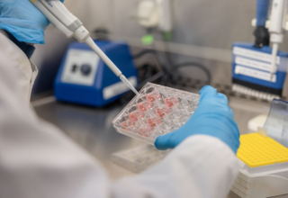 wp header logo17696916111042530183