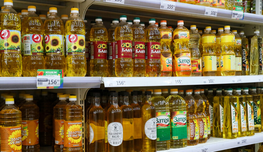 wp header logo1769691629619492024