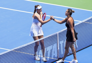 wp header logo17696988152100271473