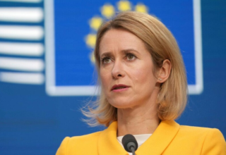 wp header logo17697024461328737999