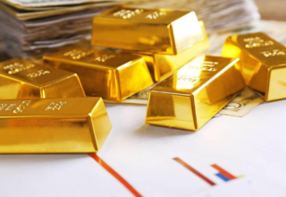 wp header logo17697060101827564761