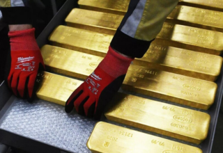 wp header logo17697132111802394420