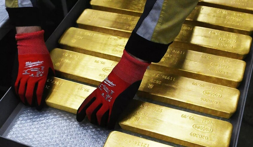 wp header logo17697132111802394420