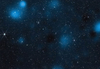 wp header logo17697348141656545481