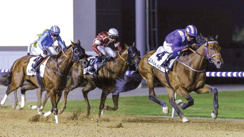 wp header logo17697348321959179329