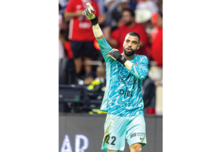 wp header logo17697348361495949372