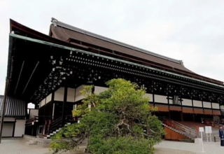 wp header logo1769752815578249077