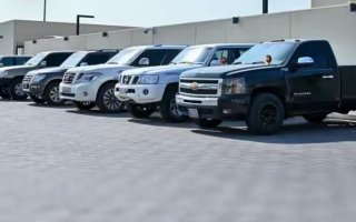 wp header logo1769760007536100843