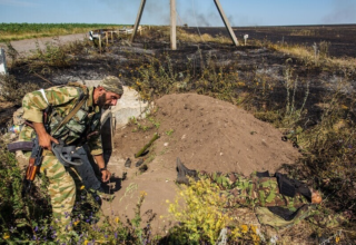 wp header logo17697672291364486337