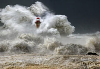 wp header logo1769774416745607348