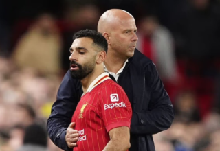 wp header logo17697780171565141843