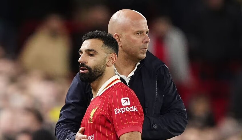 wp header logo17697780171565141843